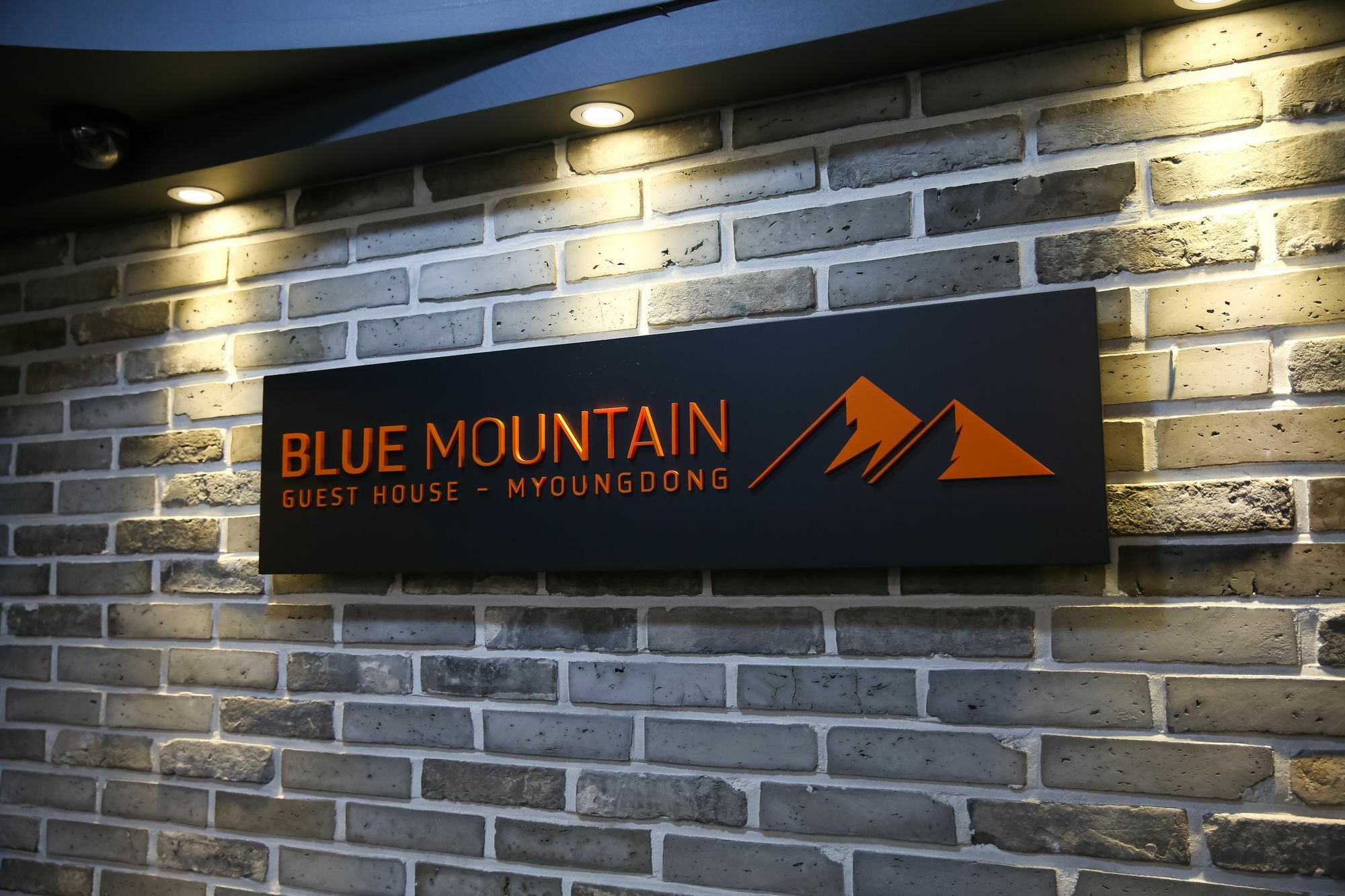 Готель Blue Mountain Myeong-Dong Сеул Екстер'єр фото
