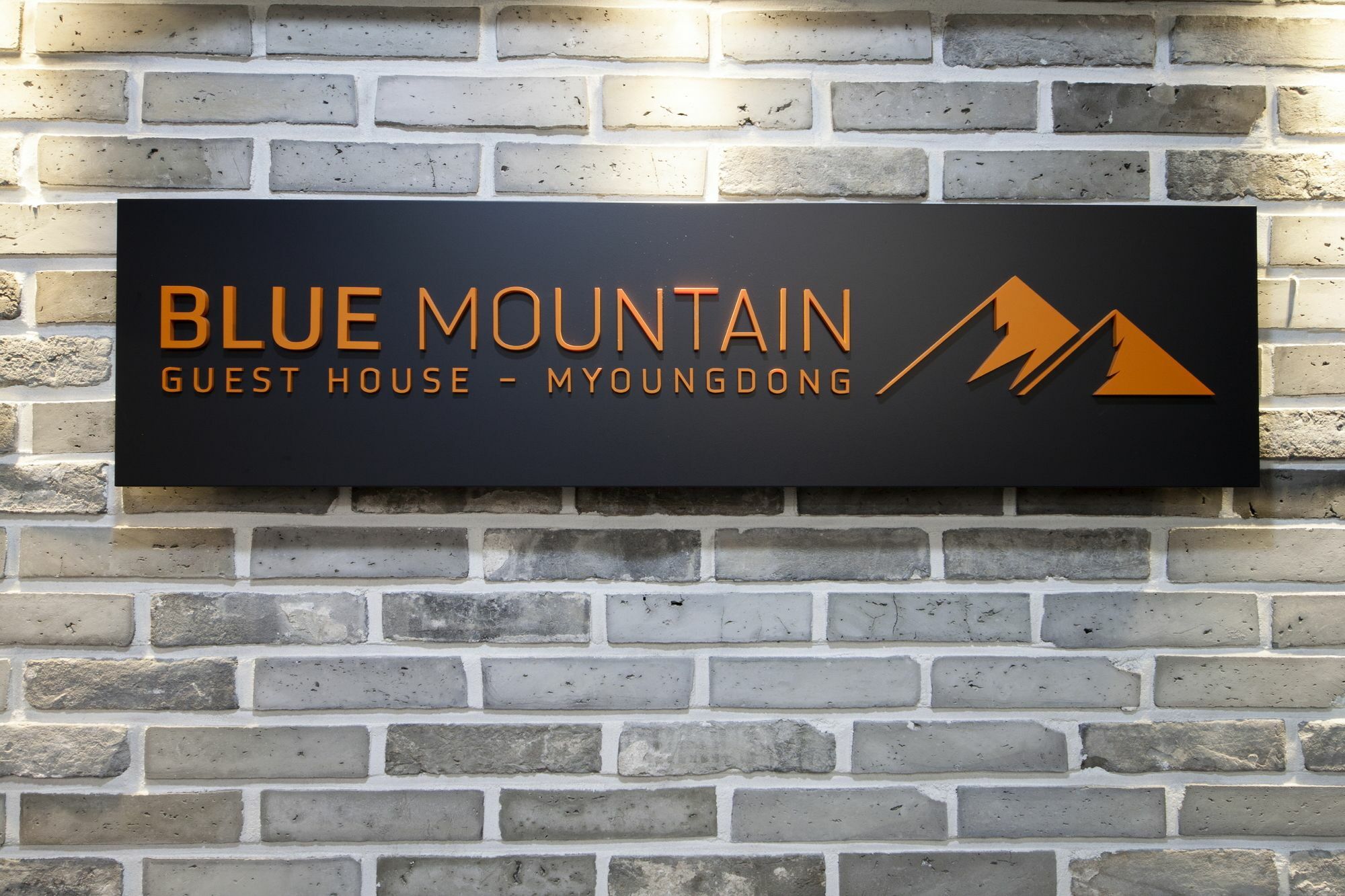 Готель Blue Mountain Myeong-Dong Сеул Екстер'єр фото