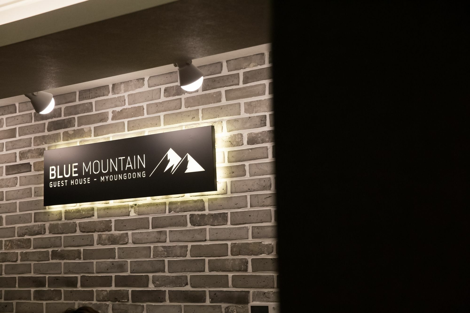 Готель Blue Mountain Myeong-Dong Сеул Екстер'єр фото